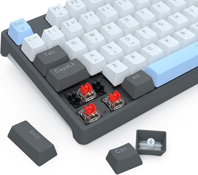 Redragon K718 RGB Full Size Hot-Swap Wired Mechanical Gaming Keyboard – 104 Keys, Red Switch, Dedicated Knob, Sound Absorbing Foam, Mixed Color Keycaps – Gray/White/Blue