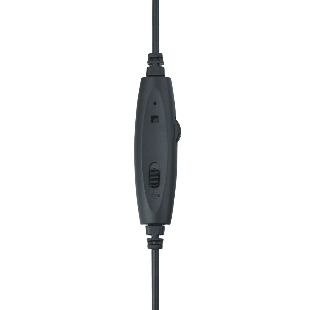 Rapoo H100 Wired Stereo Headset with Noise-Canceling Mic