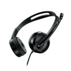 Rapoo H100 Wired Stereo Headset with Noise-Canceling Mic